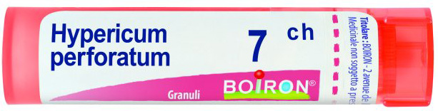 HYPERICUM PERFORATUM 7 CH GRANULI - Farmacianumberone.it