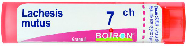 LACHESIS MUTUS 7 CH GRANULI - Farmacianumberone.it