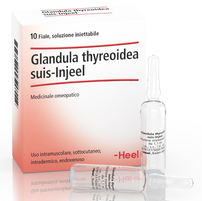 HEEL GLANDULA THYROIDEA SUIS INJEEL 10 FIALE - Farmacianumberone.it