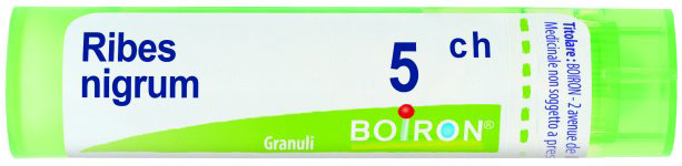 RIBES NIGRUM 5CH GRANULI - Farmacianumberone.it