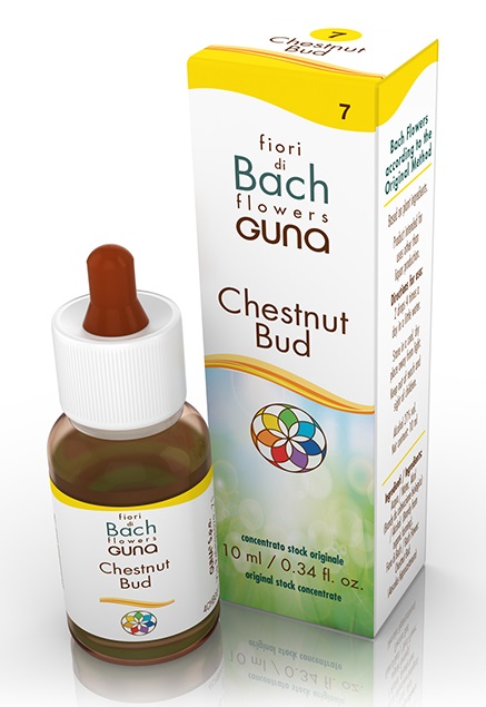CHESTNUT BUD GOCCE 10 ML - Farmacianumberone.it