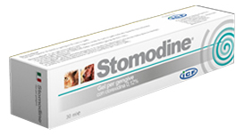 STOMODINE GEL GENG CANI 30ML - Farmacianumberone.it