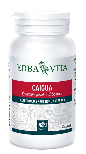 CAIGUA 60 CAPSULE 400 MG - Farmacianumberone.it
