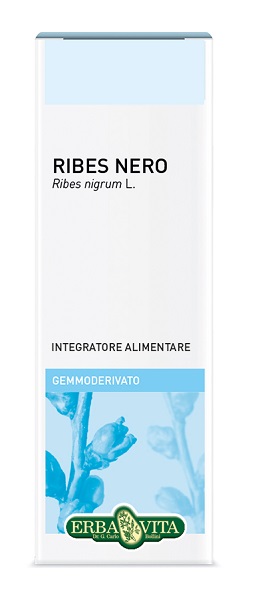 GEMMODERIVATO RIBES NERO 50 ML - Farmacianumberone.it