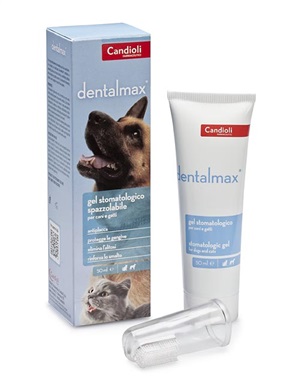 DENTALMAX GEL STOMATOLOGICO 50 ML - Farmacianumberone.it
