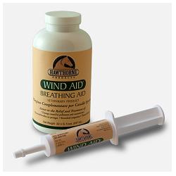 WIND AID SCIROPPO 947ML - Farmacianumberone.it