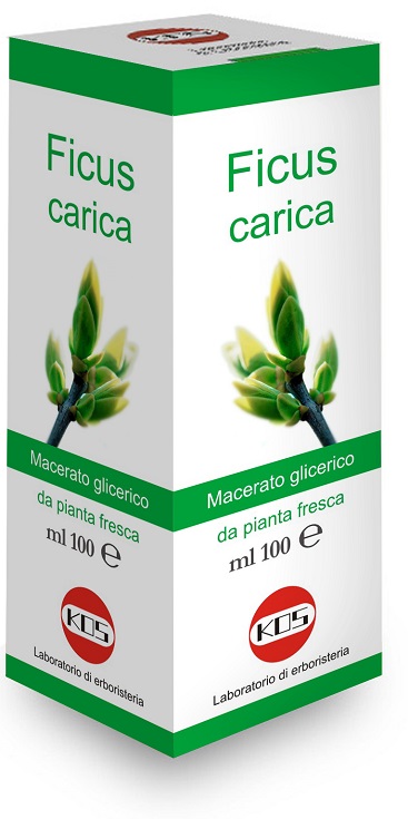 FICUS CARICA MACERATO GLICERICO 100 ML - Farmacianumberone.it