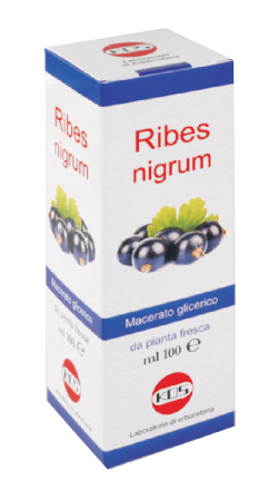 RIBES NIGRUM MG 100 ML GOCCE - Farmacianumberone.it