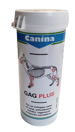 GAG PLUS 100 G 60 TAVOLETTE - Farmacianumberone.it