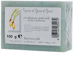 KANTANGIAN SAPONETTA CON OLIO DI GERME DI GRANO 100 G - Farmacianumberone.it