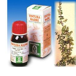 UVA URSINA 30 50ML TM - Farmacianumberone.it