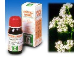 VALERIANA 36 TINTURA MADRE 50 ML - Farmacianumberone.it