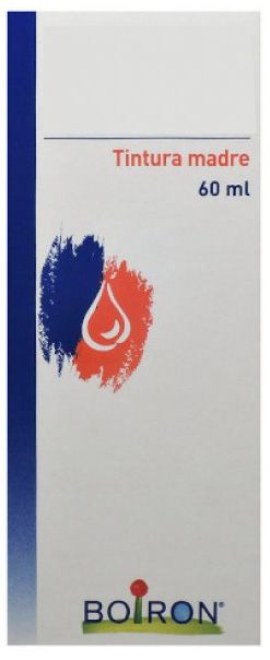 THUYA OCCIDENTALIS TINTURA MADRE 60 ML - Farmacianumberone.it