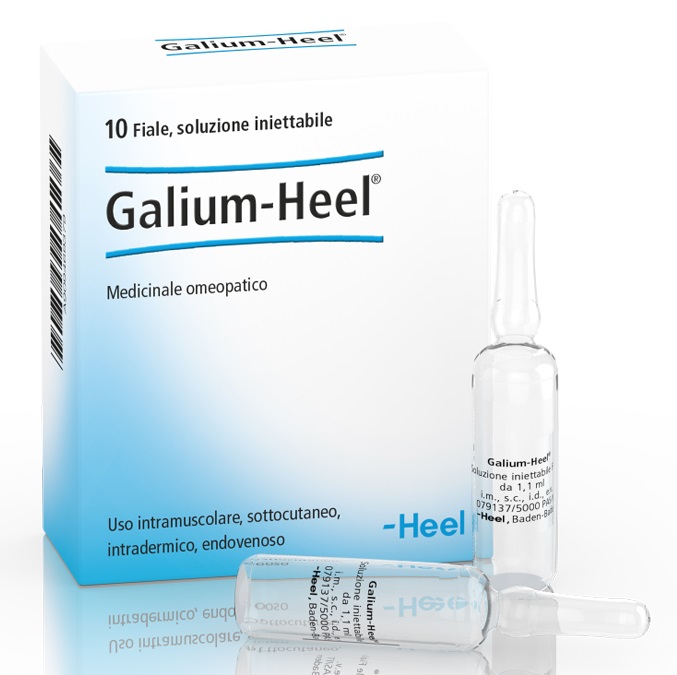 HEEL GALIUM 10 FIALE DA 1,1 ML L'UNA - Farmacianumberone.it