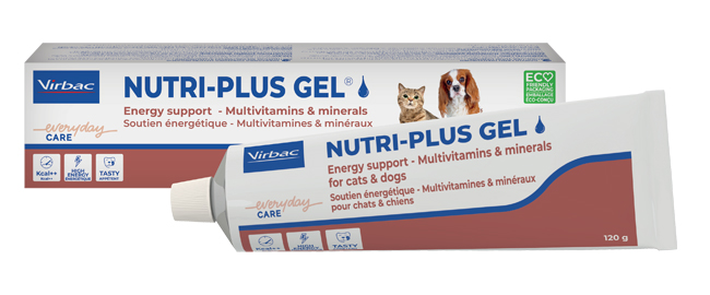 NUTRIPLUS GEL PASTA ORALE 120 G - Farmacianumberone.it
