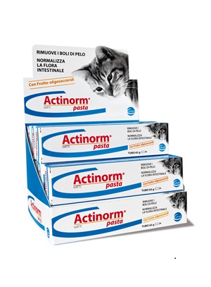 ACTINORM PASTA GATTI 65 G - Farmacianumberone.it