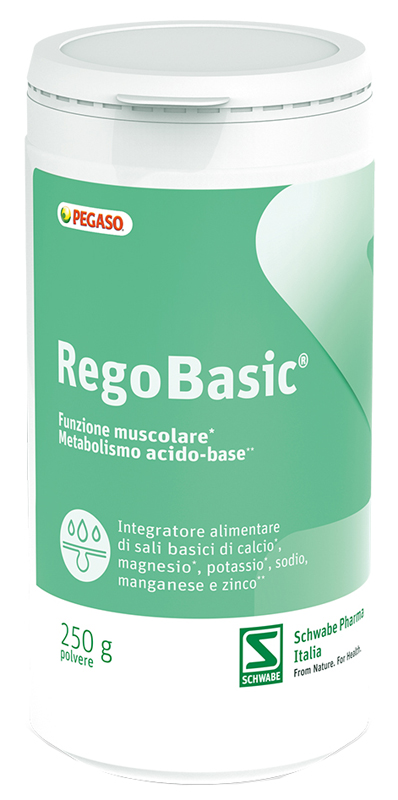 REGOBASIC POLVERE 250 G - Farmacianumberone.it