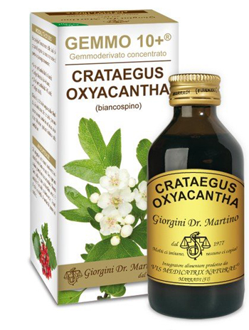 GEMMO 10+ BIANCOSPINO LIQUIDO ANALCOLICO 100 ML - Farmacianumberone.it