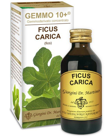 GEMMO 10+ FICO LIQUIDO ANALCOLICO 100 ML - Farmacianumberone.it