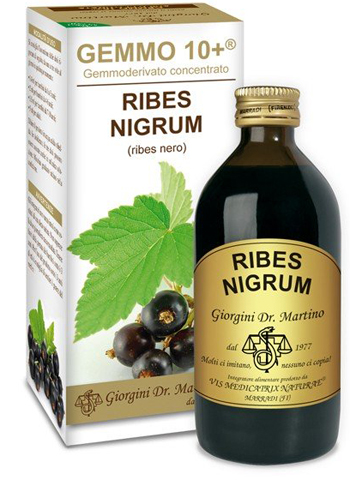 GEMMO 10+ RIBES NERO 200 ML LIQUIDO ANALCOLICO - Farmacianumberone.it