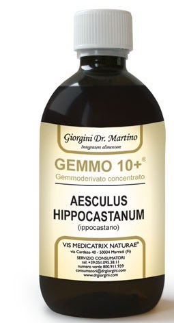 GEMOO 10+ GEMMODERIVATO CONCENTRATO IPPOCASTANO LIQUIDO ANALCOLICO AESCULUS HIPPOCASTANUM IPPOCASTANO 500 ML - Farmacianumberone.it
