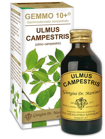 GEMMO 10+ OLMO CAMPESTRE 100 ML LIQUIDO ANALCOLICO - Farmacianumberone.it