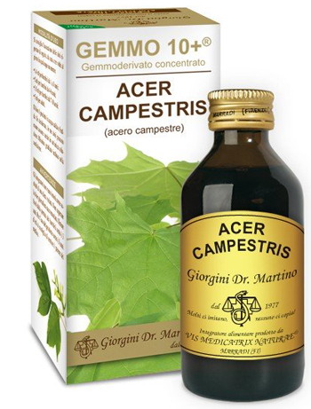 GEMMO 10+ ACERO CAMPESTRE 100 ML LIQUIDO ANALCOLICO - Farmacianumberone.it