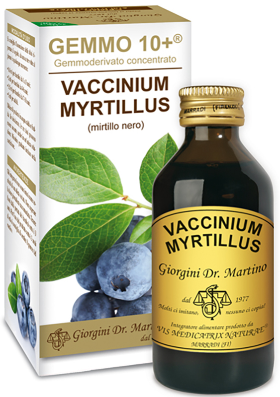 GEMMO 10+ MIRTILLO NERO LIQUIDO AN 100 ML - Farmacianumberone.it