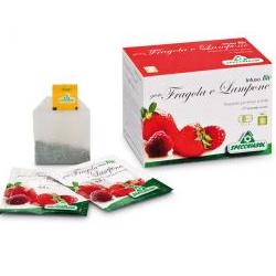 INFUSO BIO FRAGOLA E LAMPONE 20 FILTRI - Farmacianumberone.it