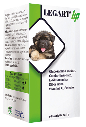 LEGART UP 60 COMPRESSE DA 1 G - Farmacianumberone.it