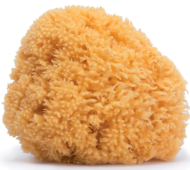 SUAVINEX HYGGE SPUGNA NATURALE MEDIA - Farmacianumberone.it