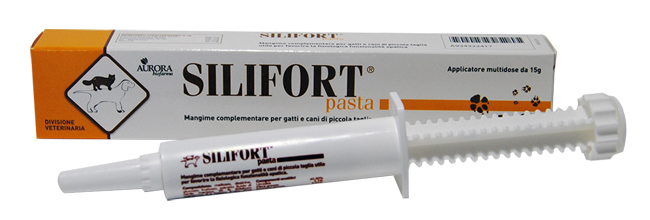 SILIFORT PASTA OS SIRINGA 15 G - Farmacianumberone.it