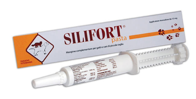 SILIFORT PASTA OS SIRINGA 30 G - Farmacianumberone.it