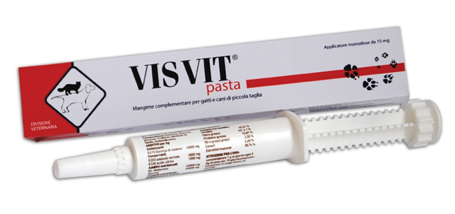 VISVIT PASTA OS SIRINGA 15 G - Farmacianumberone.it