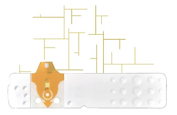 STRISCE MISURAZIONE GLICEMIA LINEA D ORO 25 PEZZI - Farmacianumberone.it