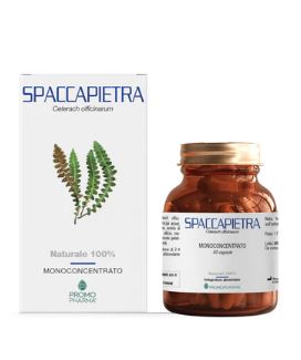 SPACCAPIETRA 50 CAPSULE - Farmacianumberone.it
