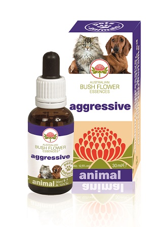 AGGRESSIVE 30 ML - Farmacianumberone.it