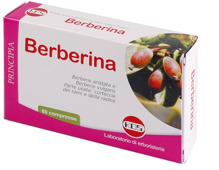 BERBERINA DA BERBERIS VULGARIS ESTRATTO SECCO 60 COMPRESSE - Farmacianumberone.it