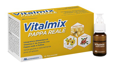 VITALMIX PAPPA REALE 10FLACONCINI X10 ML S/GL - Farmacianumberone.it