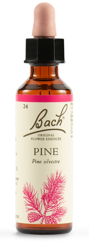 PINE BACH ORIG 20 ML - Farmacianumberone.it