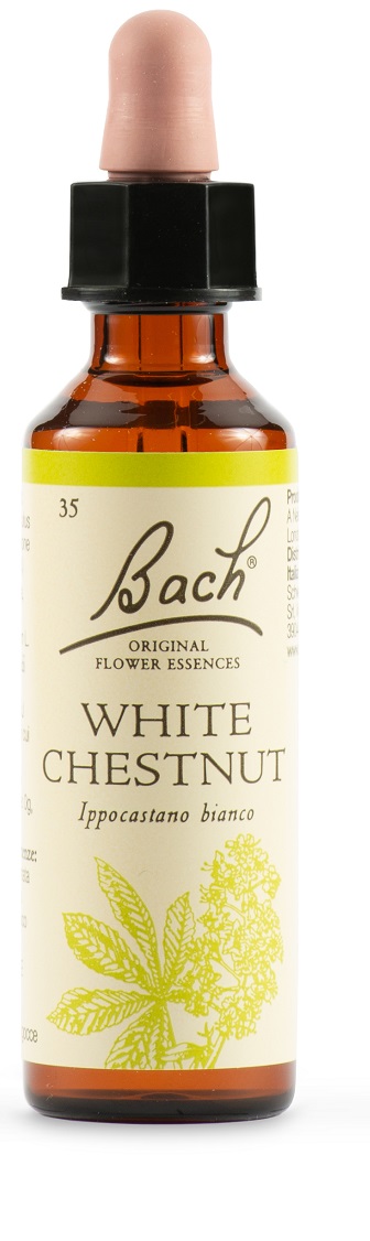WHITE CHEST BACH ORIG 20 ML - Farmacianumberone.it