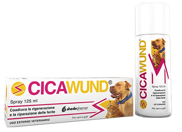CICAWUND SPRAY 125 ML - Farmacianumberone.it