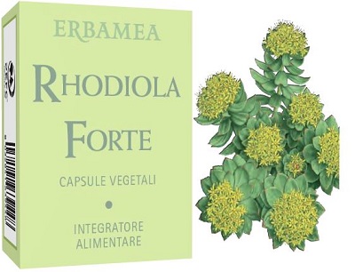 RHODIOLA FORTE 24 CAPSULE - Farmacianumberone.it