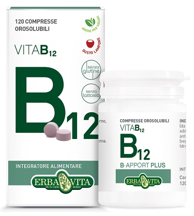 B APPORT VITAMINA B12 120 COMPRESSE OROSOLUBILI - Farmacianumberone.it