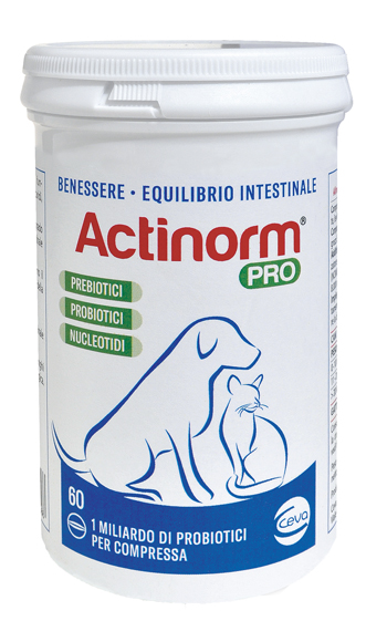 ACTINORM PRO FLACONE 60 COMPRESSE - Farmacianumberone.it
