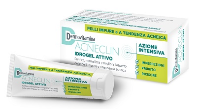 DERMOVITAMINA ACNECLIN IDROGEL 40 ML - Farmacianumberone.it