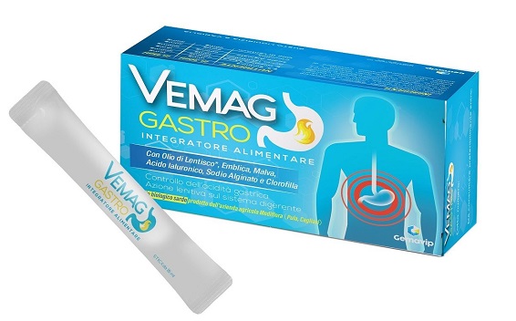 VEMAG GASTRO 20 STICK - Farmacianumberone.it