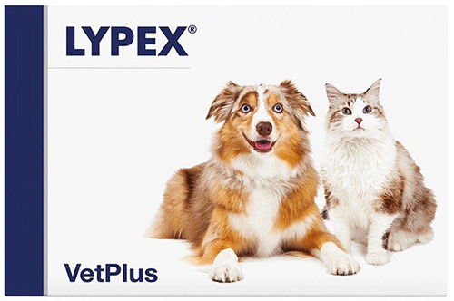 LYPEX 60 CAPSULE - Farmacianumberone.it