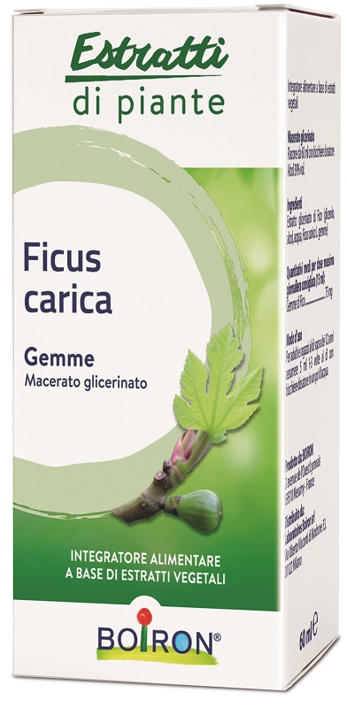 FICUS CARICA GEMME MACERATO GLICERINATO 60 ML INT - Farmacianumberone.it