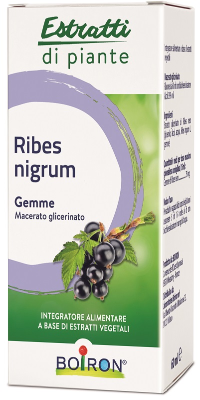 RIBES NIGRUM MACERATO GLICERICO 60 ML INT - Farmacianumberone.it